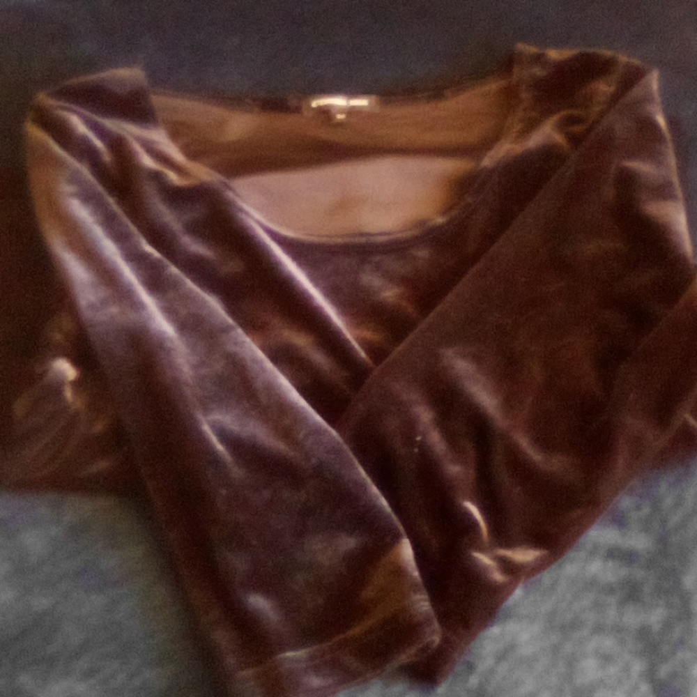 Black velvet Top